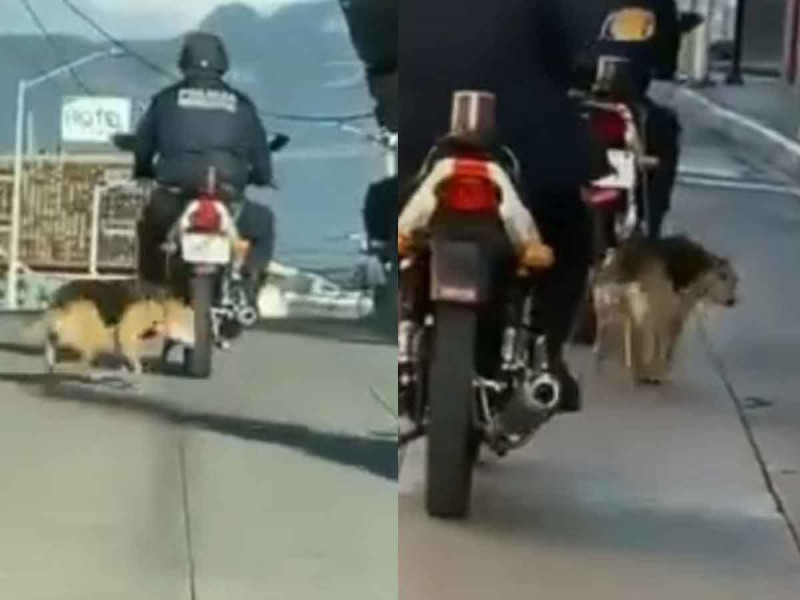 Exhiben a policía de Veracruz arrastrando a perrito en su motocicleta