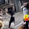 VIDEO: Firulais se mete en plena riña entre mujeres y deja a una sin calzones