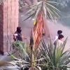 Comando armado irrumpe en universidad en Sinaloa desnuda a alumnos y los tablea