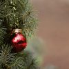 ¡No tires tu árbol de Navidad en la calle! Estos son los centros de acopio donde puedes llevar el tuyo