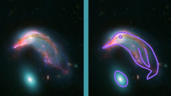 Pingüino cósmico y su huevo son captados por los Telescopios Hubble y Spitzer de la NASA