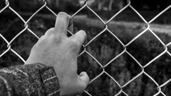 Ley SB4 de Texas es un grave peligro para los migrantes, advierten senadoras y senadores del PT