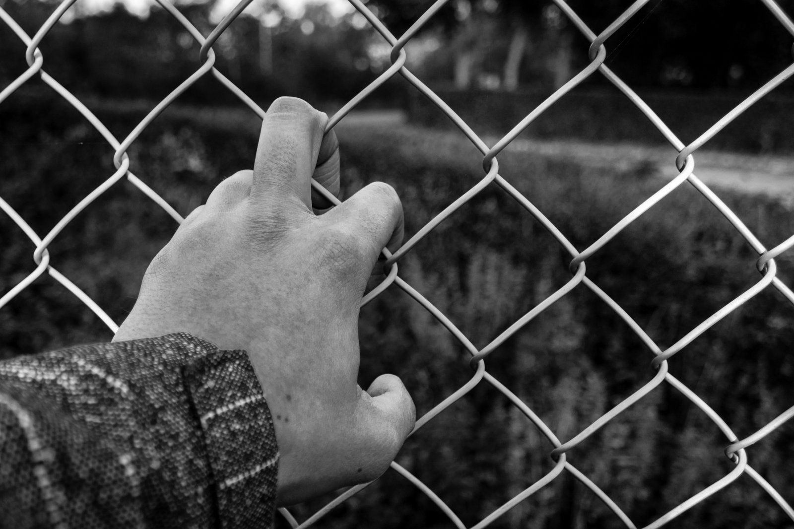 Ley SB4 de Texas es un grave peligro para los migrantes, advierten senadoras y senadores del PT