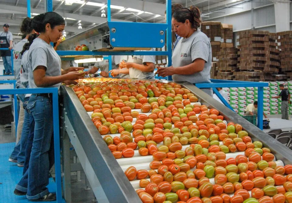 Aumentan 4.62% las exportaciones agroalimentarias y baja ritmo de importaciones