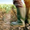 Urgen en el Senado a reforzar acciones para mitigar la sequía en el estado de Sinaloa