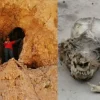 Descubren cráneo humanoide con colmillos en cueva de Coahuila y se cree que pueda ser de un Nahual