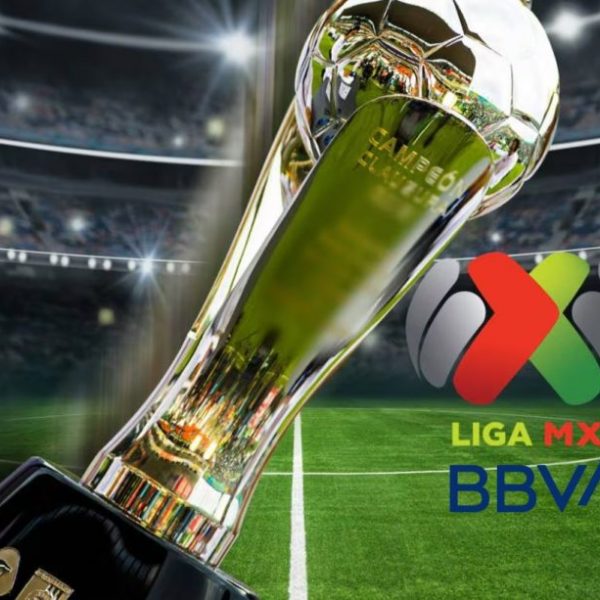 ¿Qué equipos están clasificados a La Liguilla y Play-In de la Liga MX C-2024?