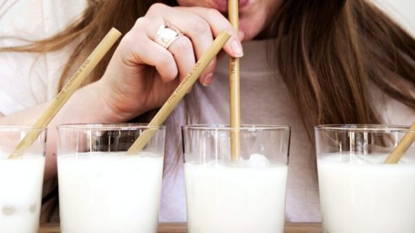 Estas son las 2 peores marcas de leche según la Profeco