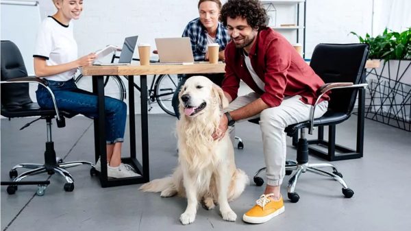 Del parque a la oficina: beneficios de los espacios laborales Pet-Friendly