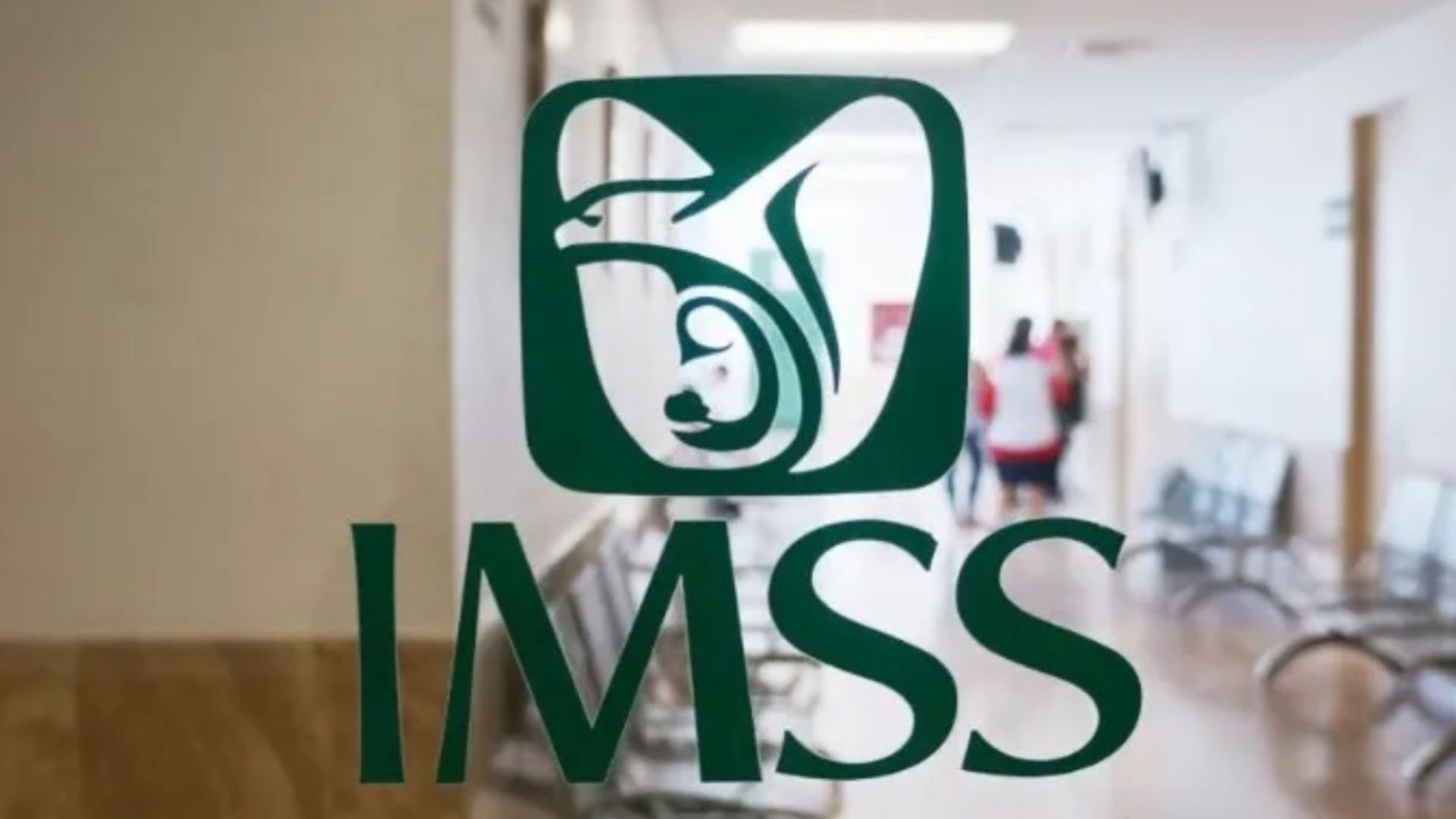 ¿Estás afiliado al IMSS? Te decimos cómo dar de alta a tus padres desde casa