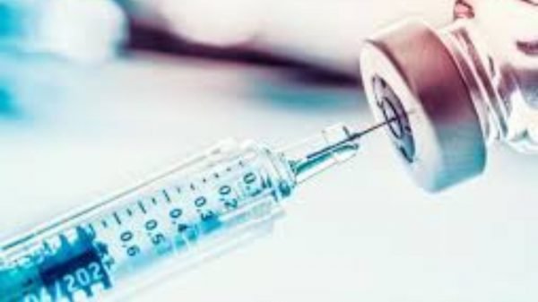 OMS lanza iniciativa para rápido desarrollo de vacunas contra la gripe aviar humana