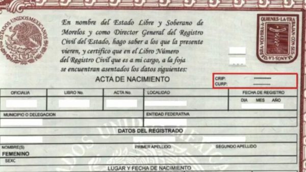 ¿Cómo descargar el acta de nacimiento y CURP desde casa?