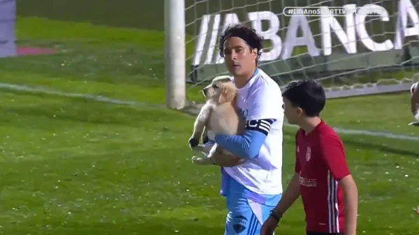 ¿Por qué Guillermo Ochoa salió con un perro en brazos en el partido del AVS Futebol SAD?