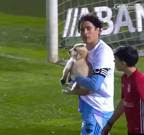 ¿Por qué Guillermo Ochoa salió con un perro en brazos en el partido del AVS Futebol SAD?