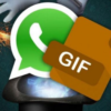 WhatsApp para editar y enviar GIFs: Todo lo que debes saber