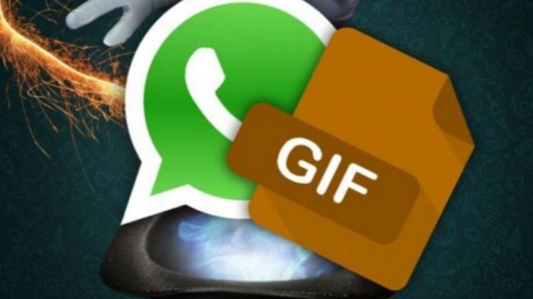 WhatsApp para editar y enviar GIFs: Todo lo que debes saber