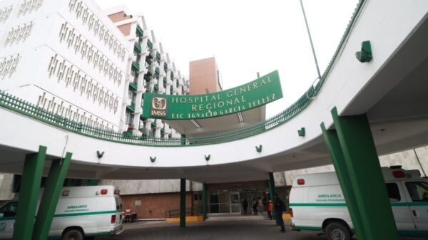 Melanie de Jesús Barragán, joven golpeada por su novio, es dada de alta tras cirugía en el IMSS