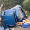 Caos en la México-Cuernavaca: tráiler con pollos vuelca y cierra la autopista