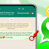 Estrategias para gestionar las notificaciones de WhatsApp sin desconectar el internet