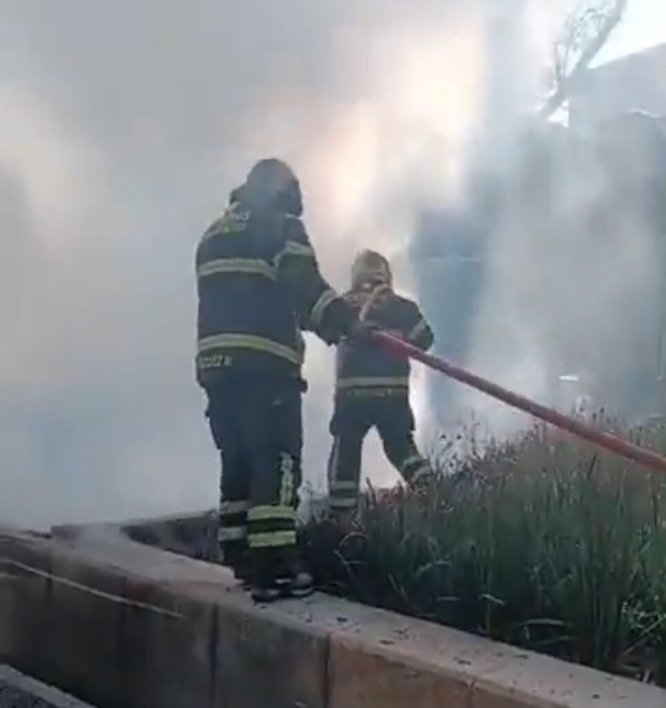 Bomberos sofocan incendio de pasto en la avenida Chapultepec de la CDMX ...