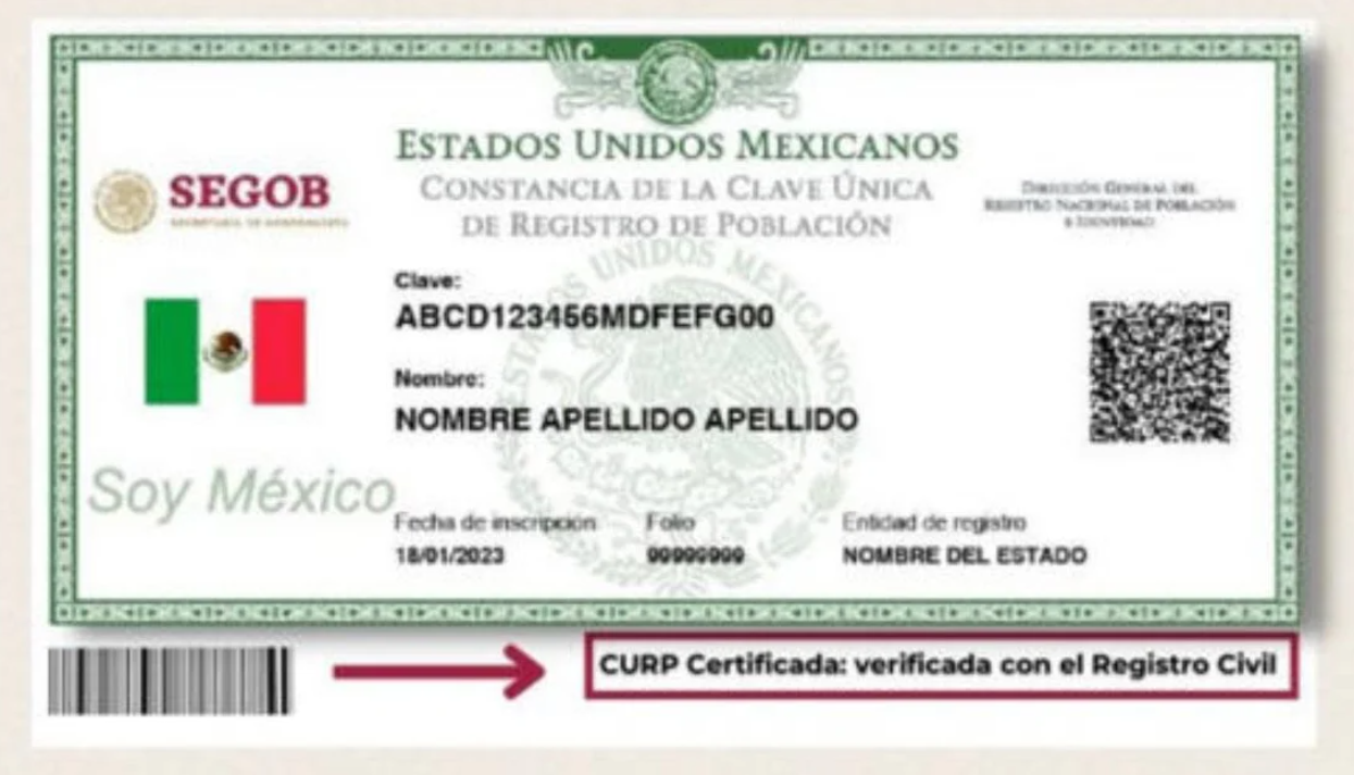 Adiós a la CURP: México moderniza su sistema de identificación ciudadana