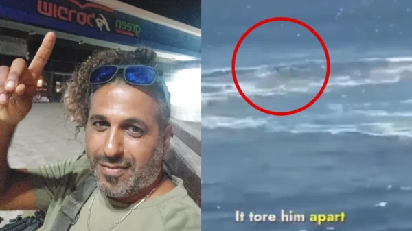 Captan el momento en que tiburón devoró a hombre en la playa