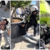 VIDEO: Turista chino frustra un robo en Barcelona ¡con llave milenaria!