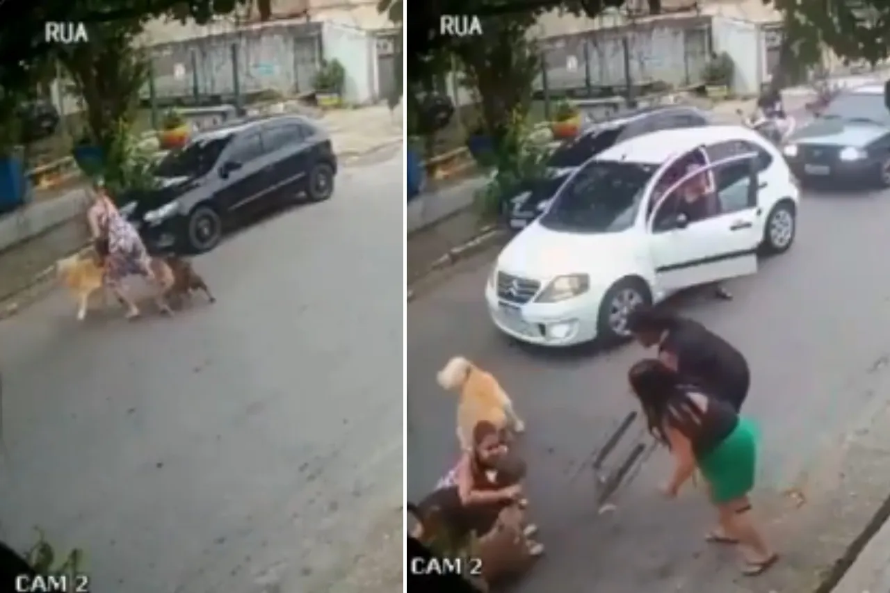VIDEO: Mujer embarazada protege con su cuerpo a su perro del ataque de 2 pitbulls