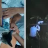 Video: Capturan el 'gato Guzmán'; utilizado para meter drogas a penal