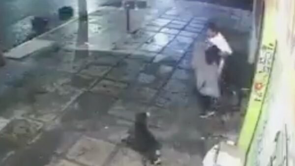 un hombre sin hogar le quita su cobija a un lomito de la calle y desata indignación