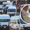 Captan a chofer de combi consumiendo presuntas drogas durante su ruta