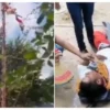 Se rompe el palo y caen 5 voladores de Papantla desde más de 10 metros en Veracruz (VIDEO)