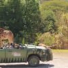 ¿Cuánto cuesta Africam Safari en 2025? Precios, recorridos y actividades