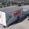 Bimbo: qué significa su nombre y cómo fue elegido
