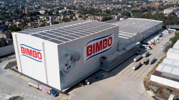 Bimbo: qué significa su nombre y cómo fue elegido