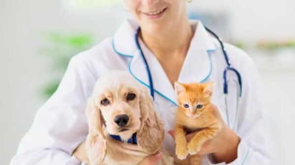Abren nueva clínica para perros y gatos en la alcaldía Tláhuac