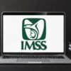 ¿Quieres saber cuántas semanas has cotizado? Así puedes consultar tu historial laboral en el IMSS