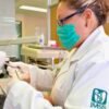 Servicios dentales en el IMSS: cómo agendar y qué tratamientos incluye