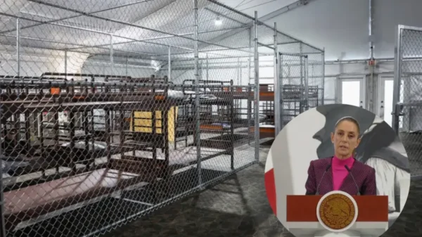 Sheinbaum confirma que 14 mexicanos están detenidos en ‘Alligator Alcatraz’