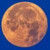 ¿Qué es la Luna de Ciervo y cuándo verla en México este 2025?