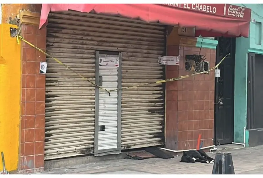 Perrito espera a su dueño afuera de local baleado en Culiacán; fue asesinado en ataque armado