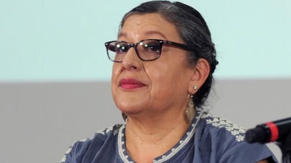 Teresa Reyes renuncia a su cargo como titular de la Comisión Nacional de Búsqueda
