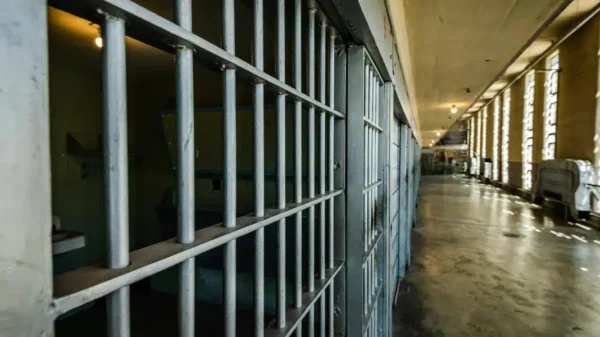 Operación Frontera Norte: suman más de 6 mil detenidos y casi 5 mil armas decomisadas
