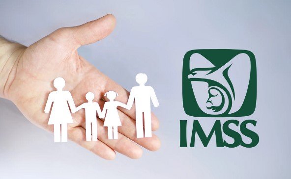 IMSS: guía para dar de alta a tus familiares como beneficiarios