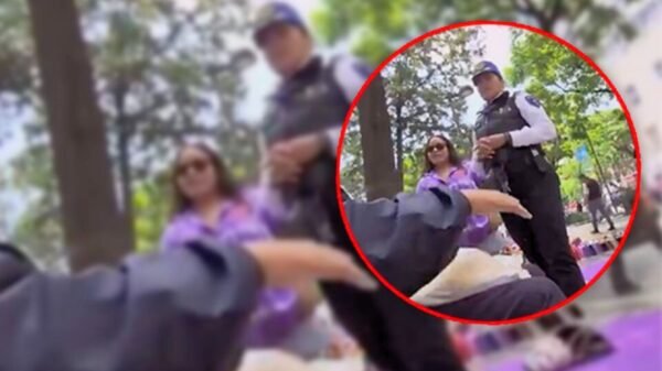 #LadyAlameda: Acusa falsamente a adulto mayor para quedarse con banca en la CDMX