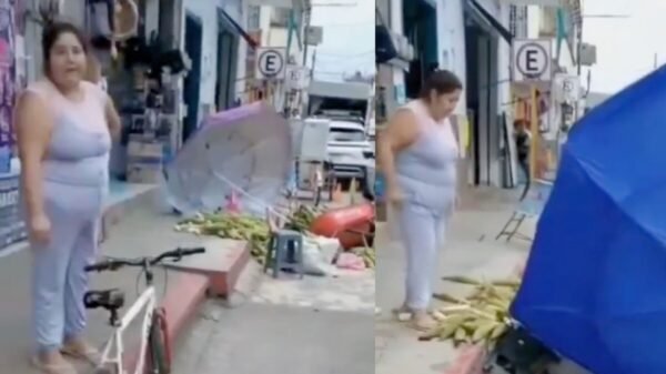 ¿Quién es “Lady Elotes”? Mujer derriba puesto ambulante en Veracruz y se vuelve viral