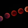 Próxima “Luna de Sangre”: ¿qué es y cuándo podrá verse?