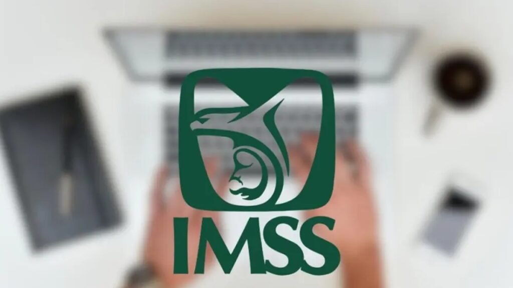 NSS del IMSS: cómo obtenerlo y consultarlo en línea - México Ya