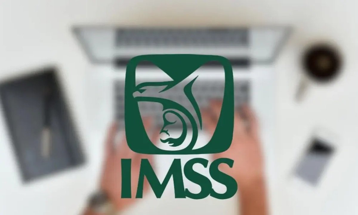 IMSS: paso a paso para realizar pagos en línea si haces parte de la Modalidad 40