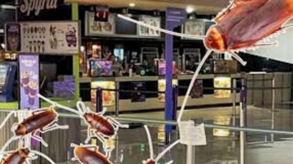 Cinépolis lanza oferta de boletos a 29 pesos, pero usuarios reportan cucarachas